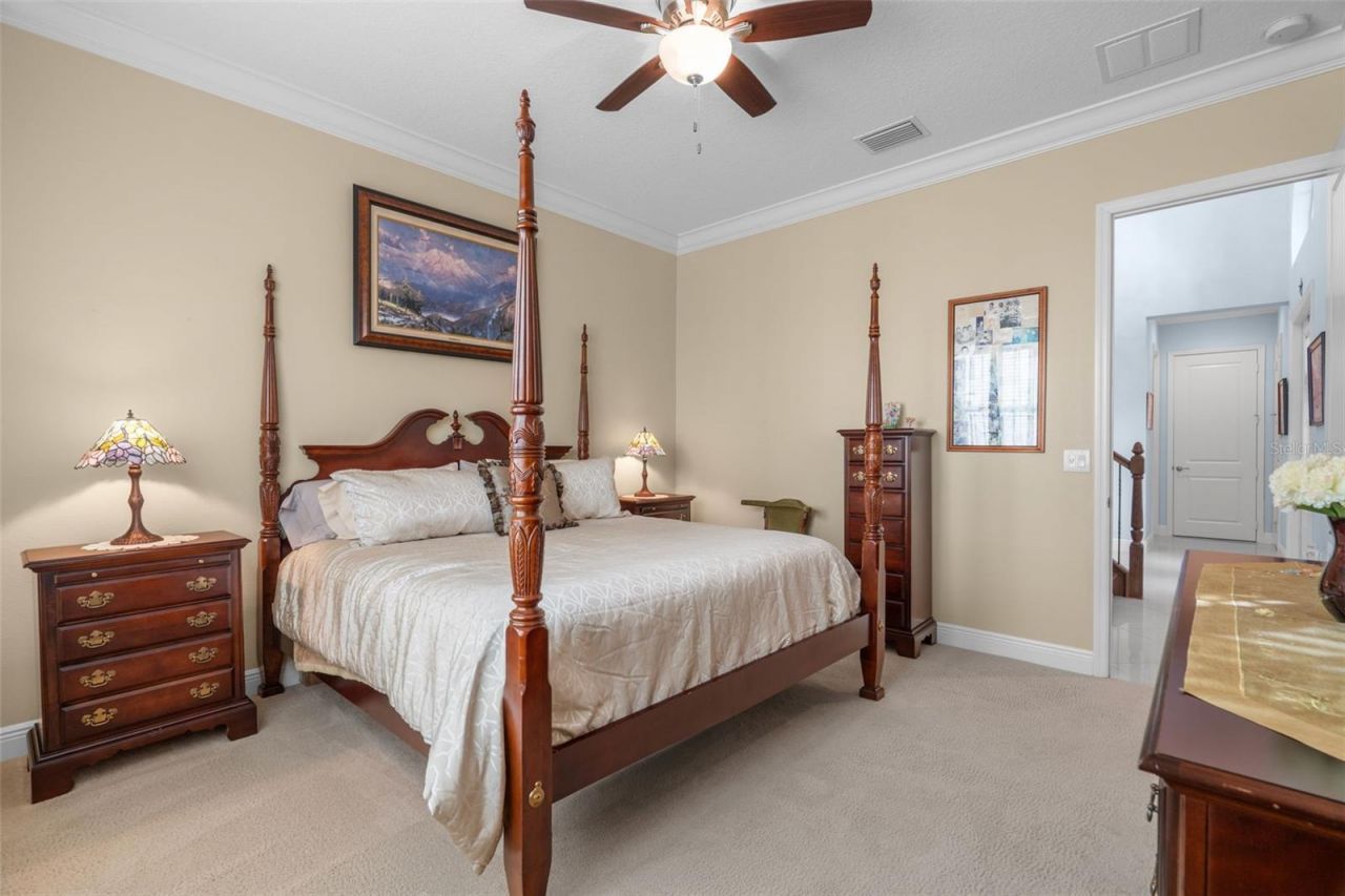 30581 Ivy Forge Court, Wesley Chapel, FL 33543 Photo