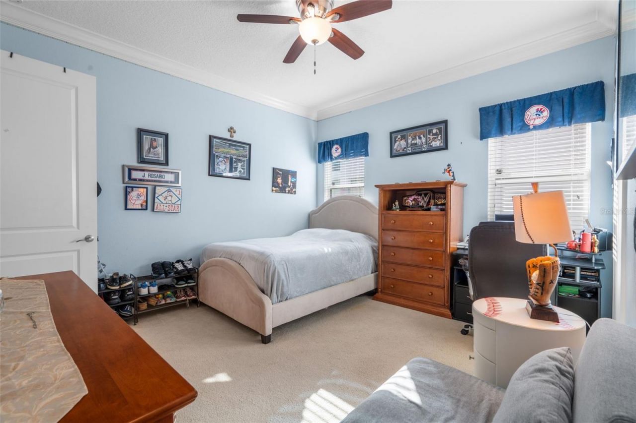30581 Ivy Forge Court, Wesley Chapel, FL 33543 Photo