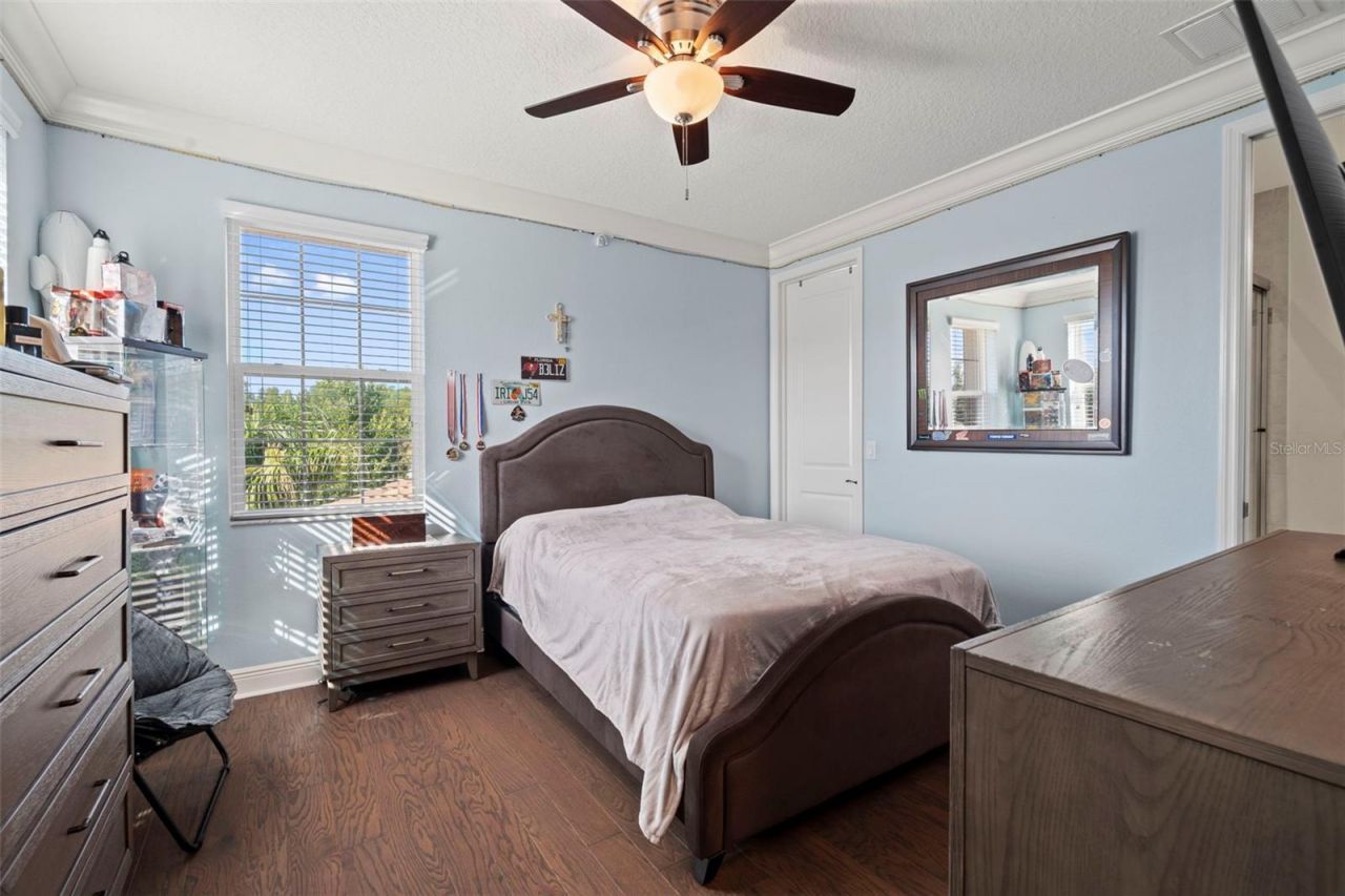 30581 Ivy Forge Court, Wesley Chapel, FL 33543 Photo