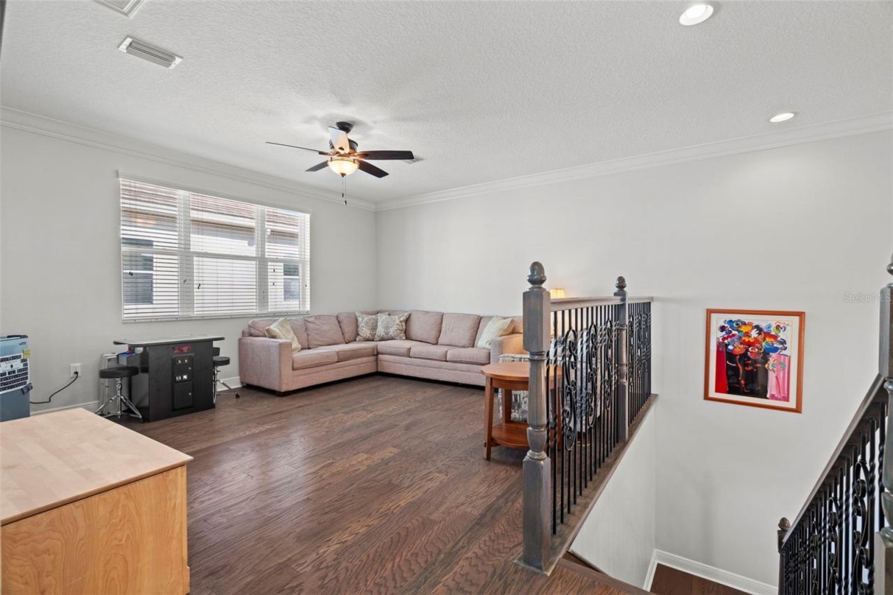 30581 Ivy Forge Court, Wesley Chapel, FL 33543 Photo