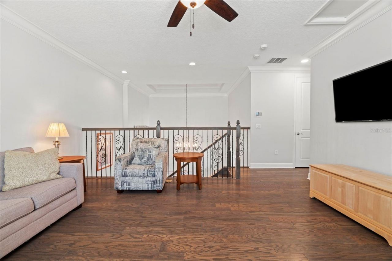 30581 Ivy Forge Court, Wesley Chapel, FL 33543 Photo