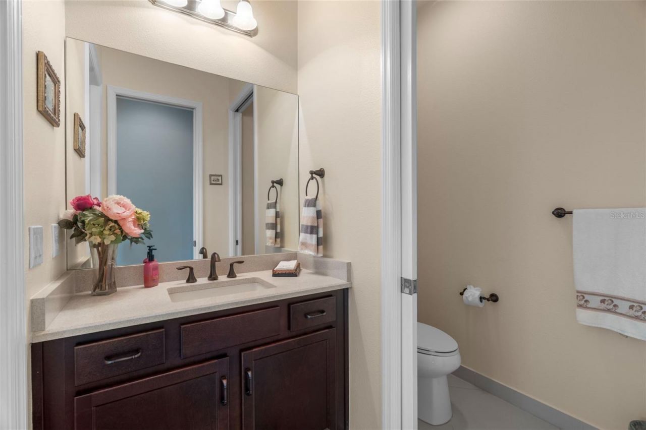 30581 Ivy Forge Court, Wesley Chapel, FL 33543 Photo