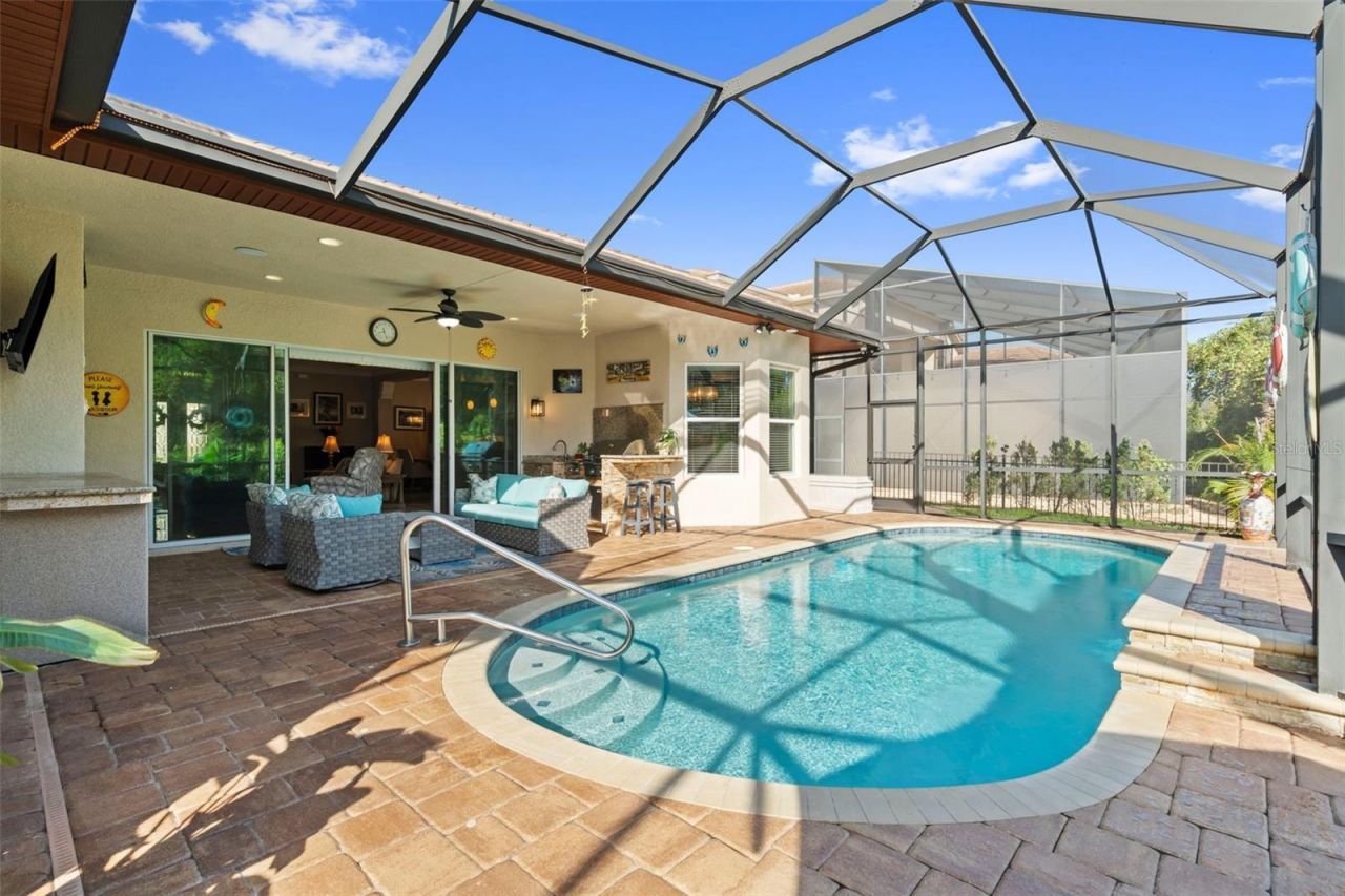 30581 Ivy Forge Court, Wesley Chapel, FL 33543 Photo