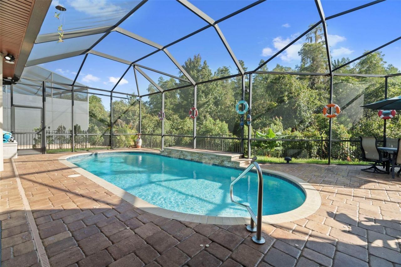30581 Ivy Forge Court, Wesley Chapel, FL 33543 Photo