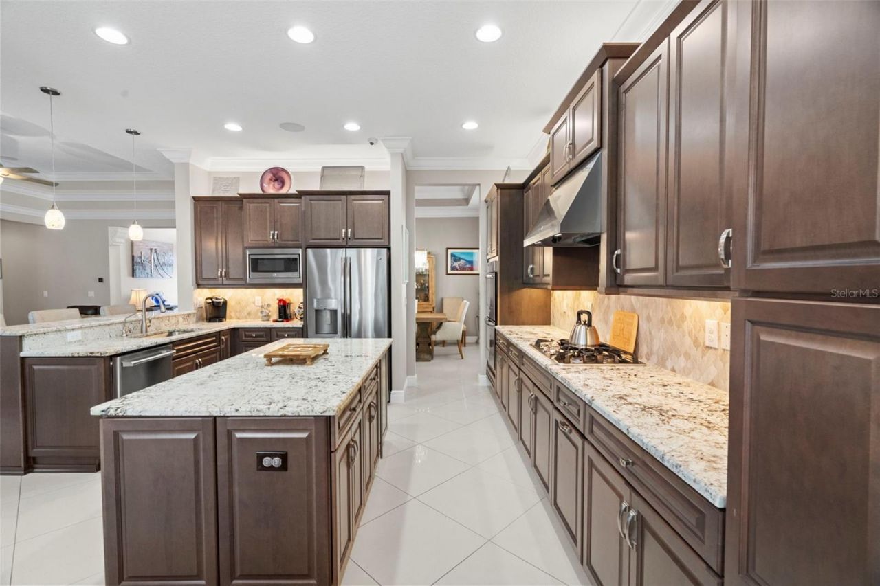 30581 Ivy Forge Court, Wesley Chapel, FL 33543 Photo