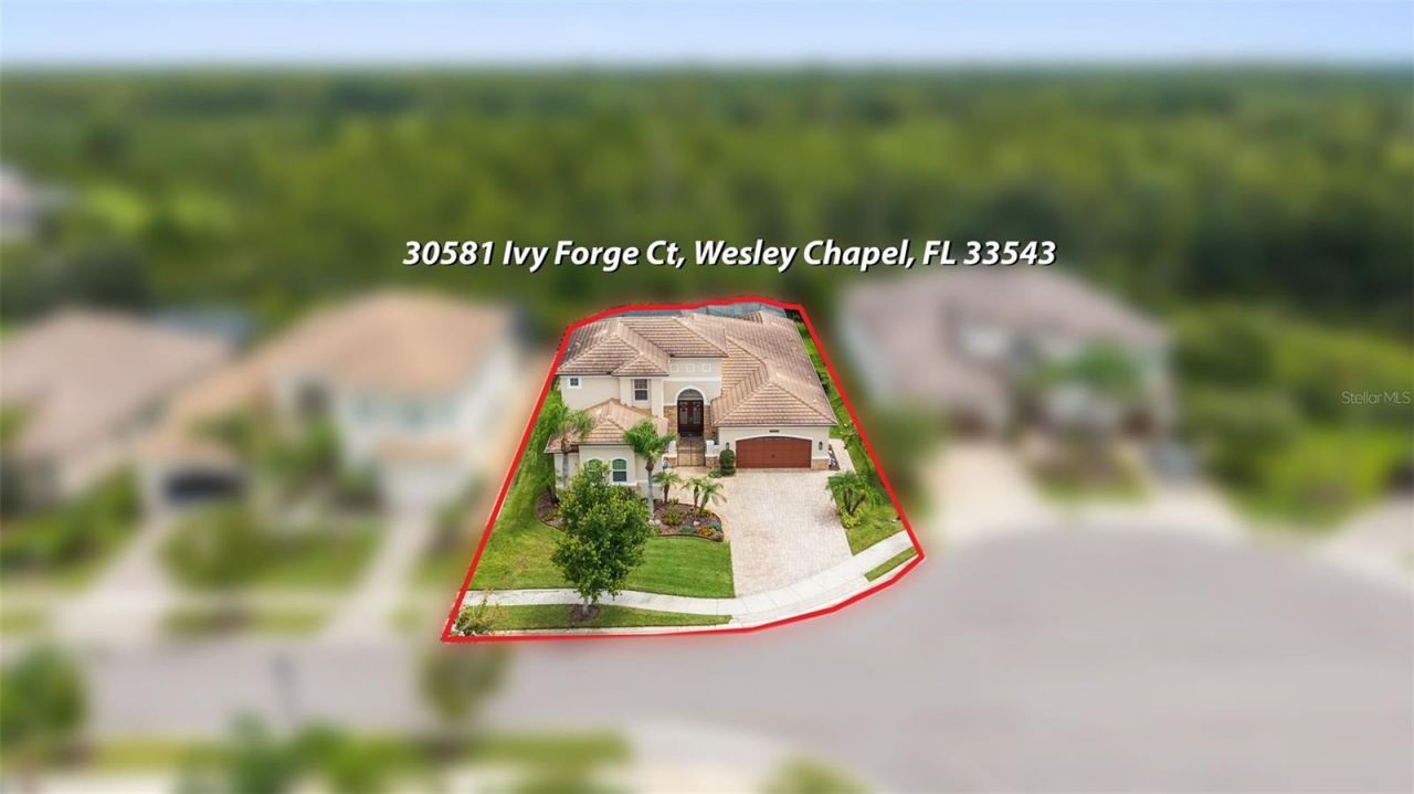 30581 Ivy Forge Court, Wesley Chapel, FL 33543 Photo