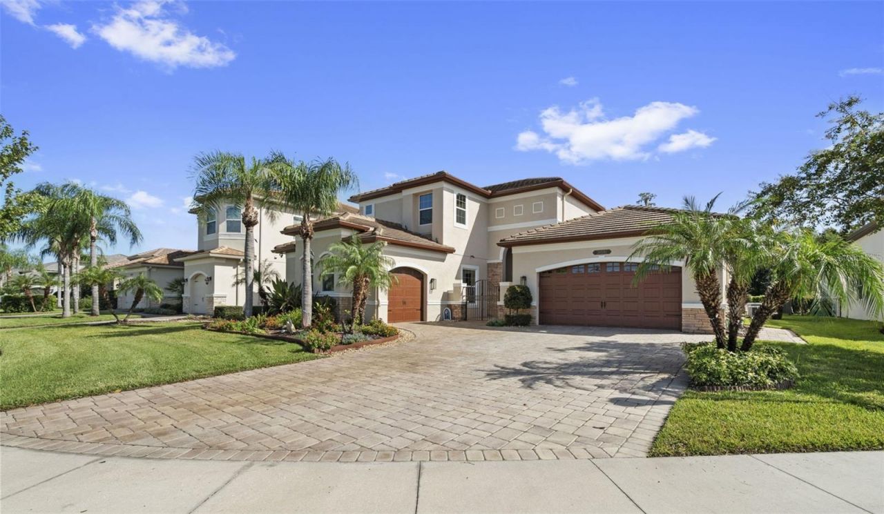30581 Ivy Forge Court, Wesley Chapel, FL 33543 Photo