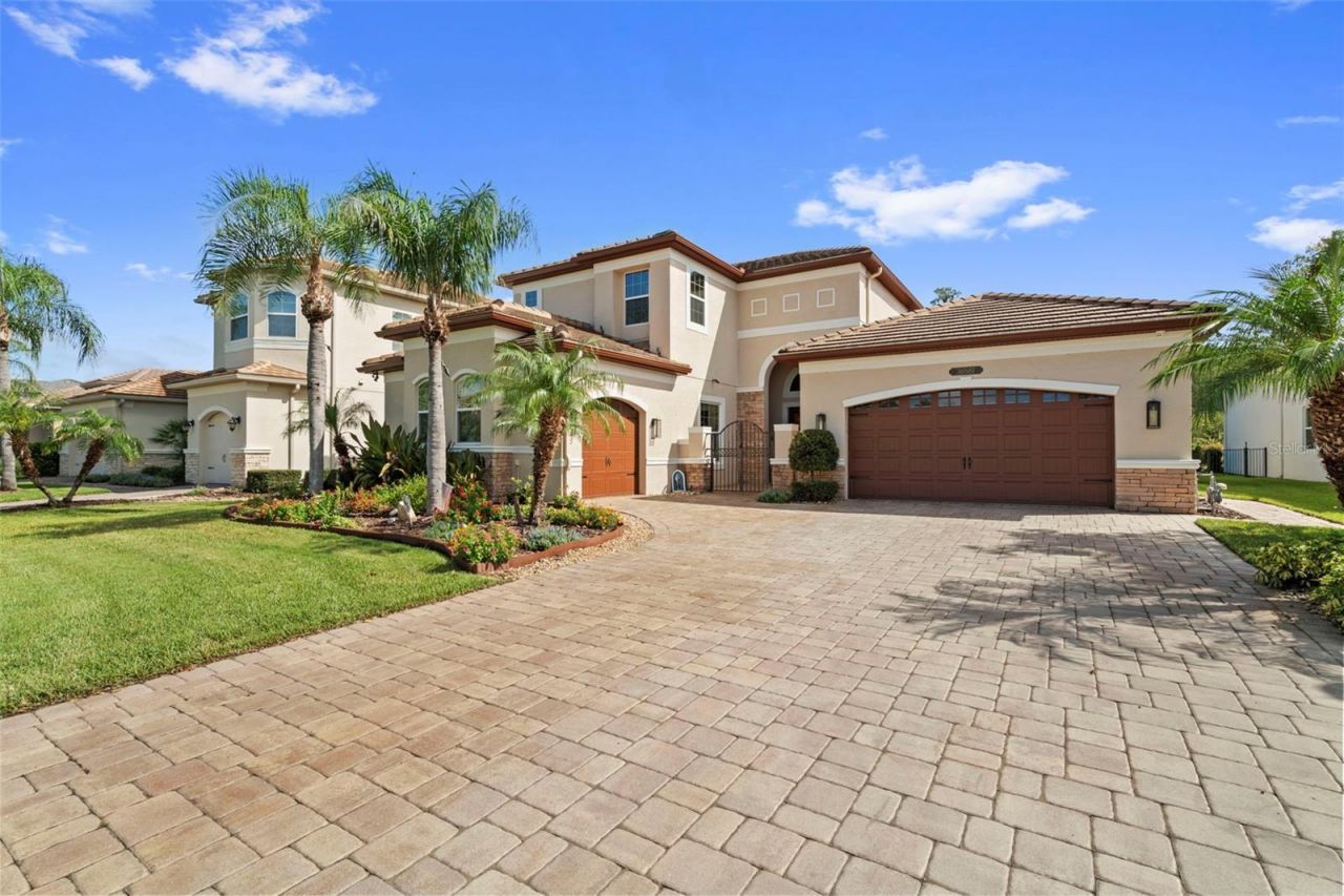 30581 Ivy Forge Court, Wesley Chapel, FL 33543 Photo