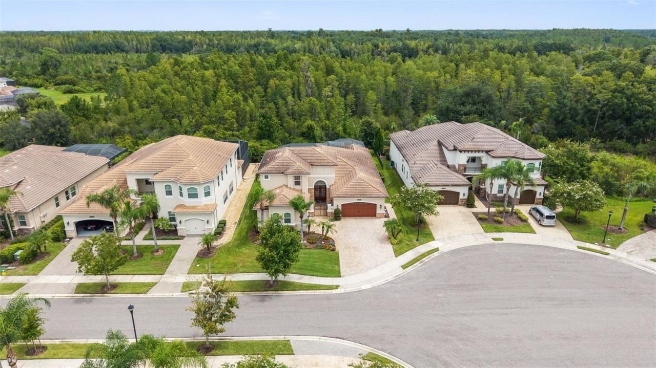 30581 Ivy Forge Court, Wesley Chapel, FL 33543 Photo