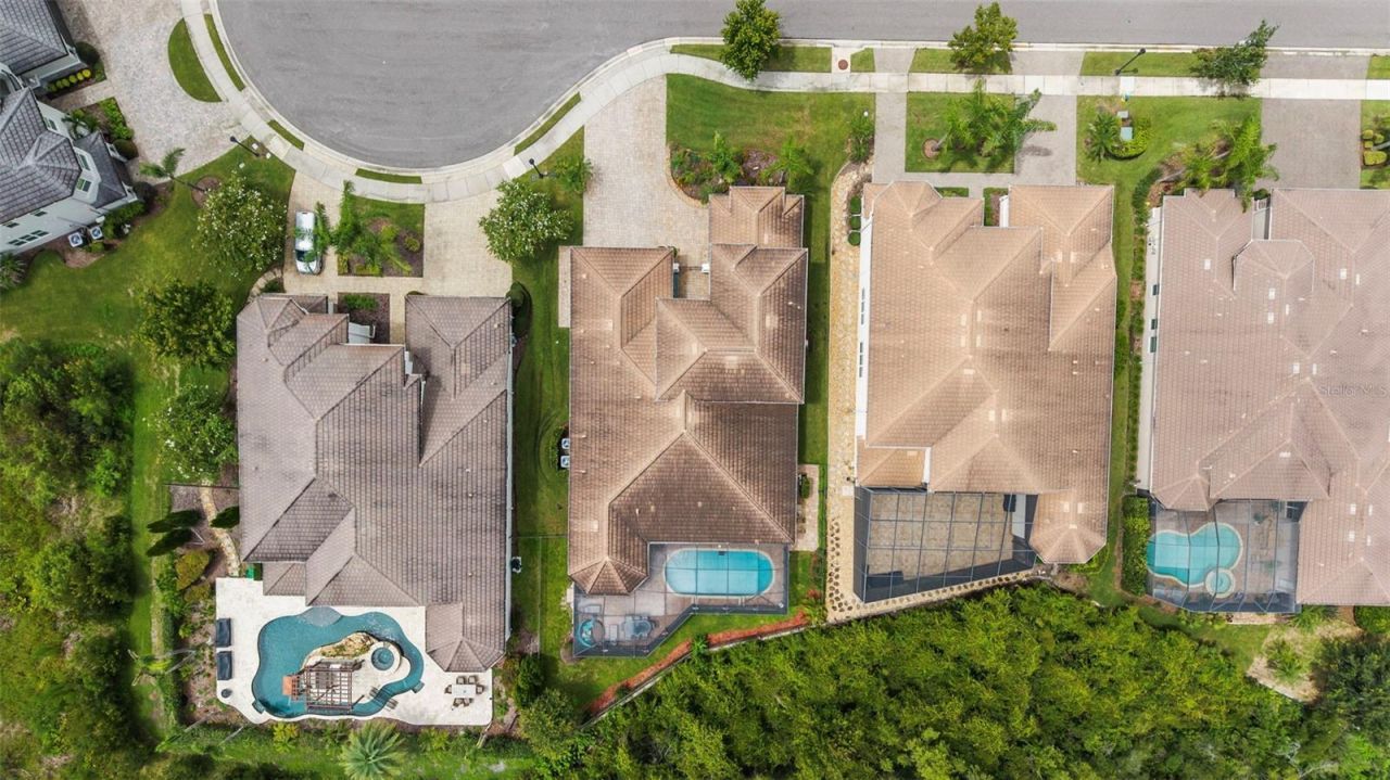 30581 Ivy Forge Court, Wesley Chapel, FL 33543 Photo