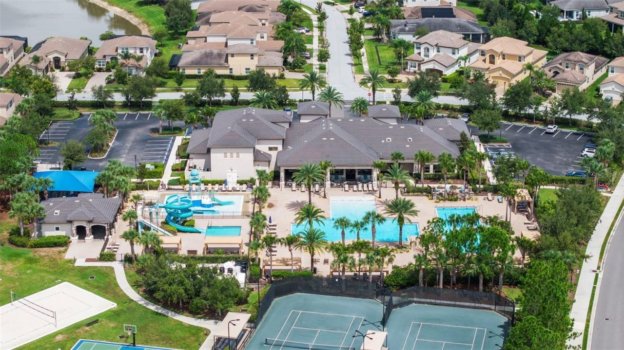 30581 Ivy Forge Court, Wesley Chapel, FL 33543 Photo