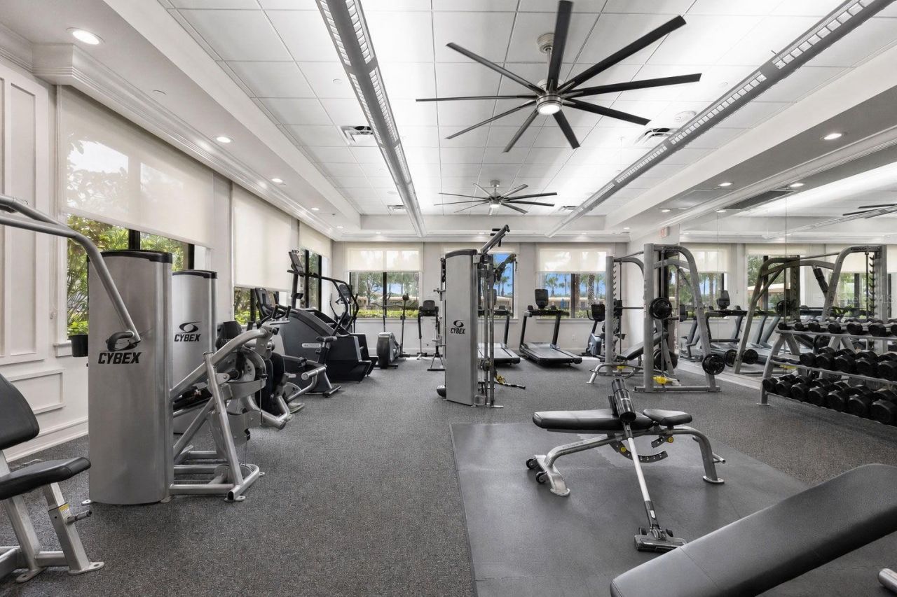 30581 Ivy Forge Court, Wesley Chapel, FL 33543 Photo