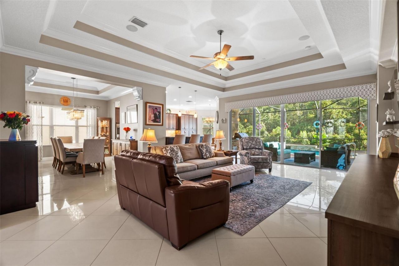 30581 Ivy Forge Court, Wesley Chapel, FL 33543 Photo