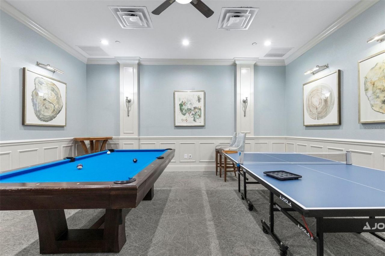 30581 Ivy Forge Court, Wesley Chapel, FL 33543 Photo
