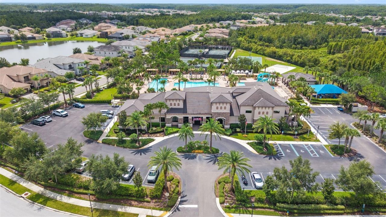 30581 Ivy Forge Court, Wesley Chapel, FL 33543 Photo