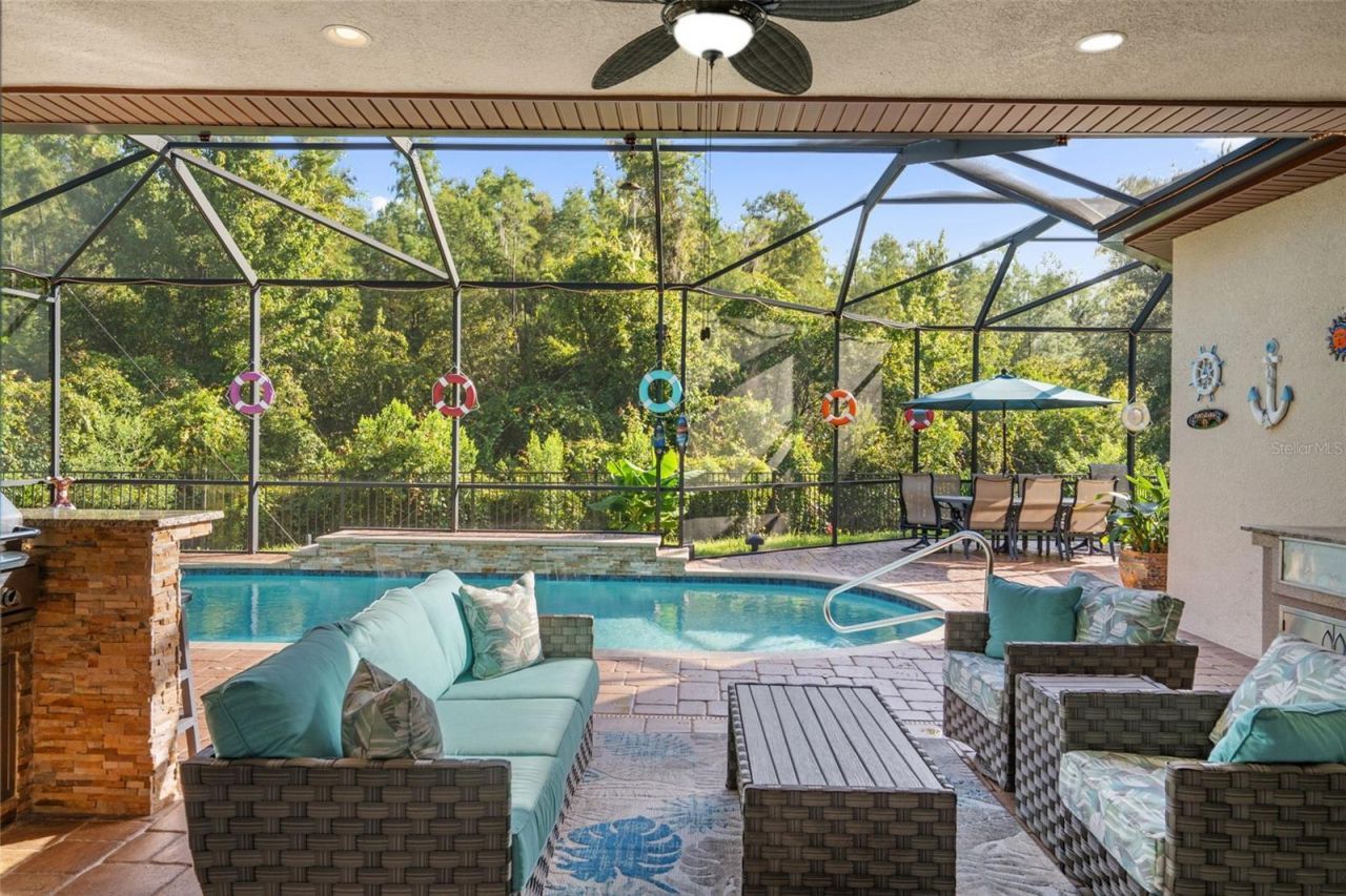 30581 Ivy Forge Court, Wesley Chapel, FL 33543 Photo