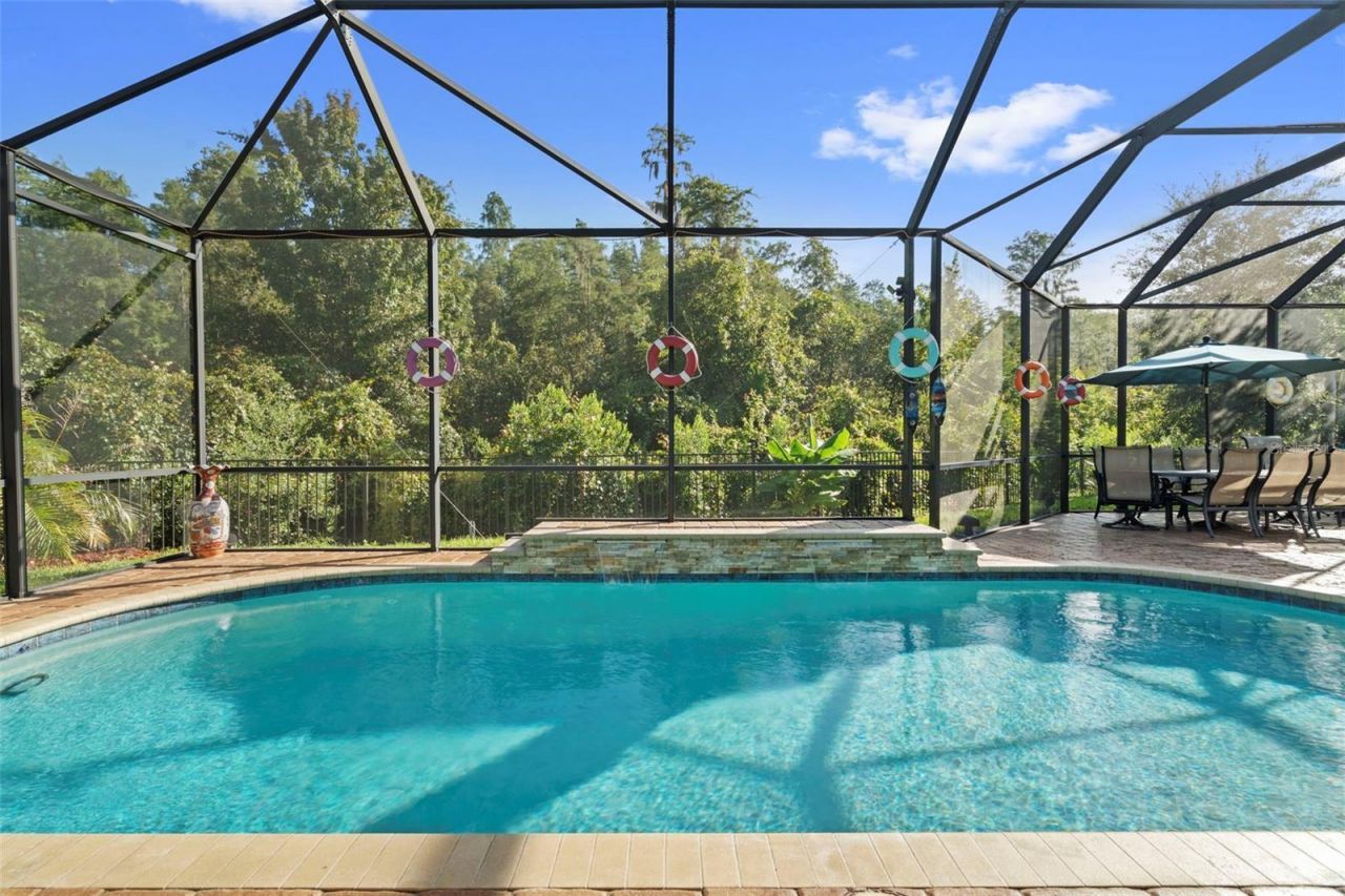 30581 Ivy Forge Court, Wesley Chapel, FL 33543 Photo