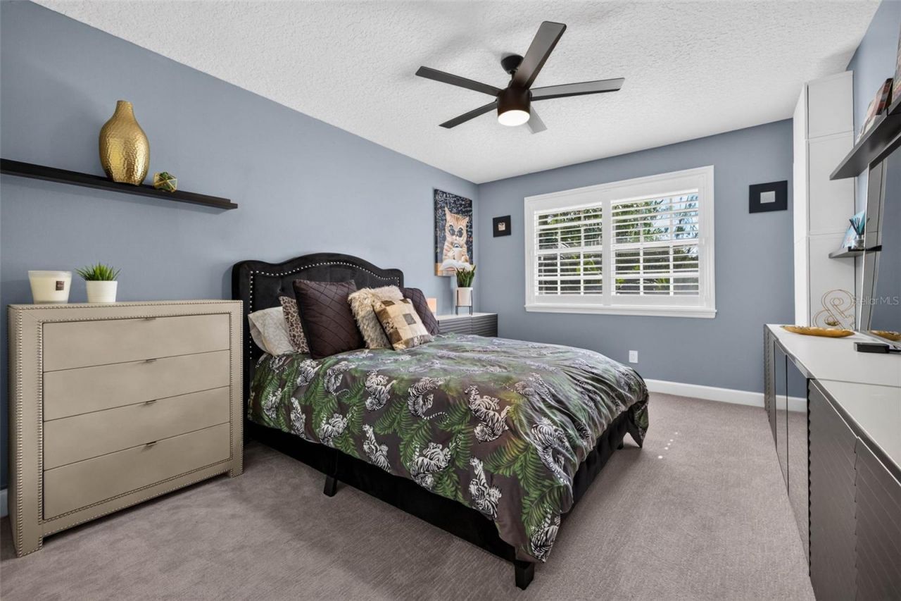 4660 Laurel Oak Lane Ne, Saint Petersburg, FL 33703 Photo