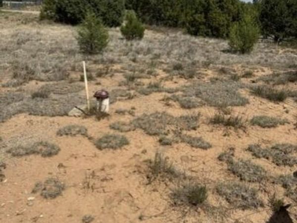 39 Quail Hollow Road , Tijeras, NM 87059