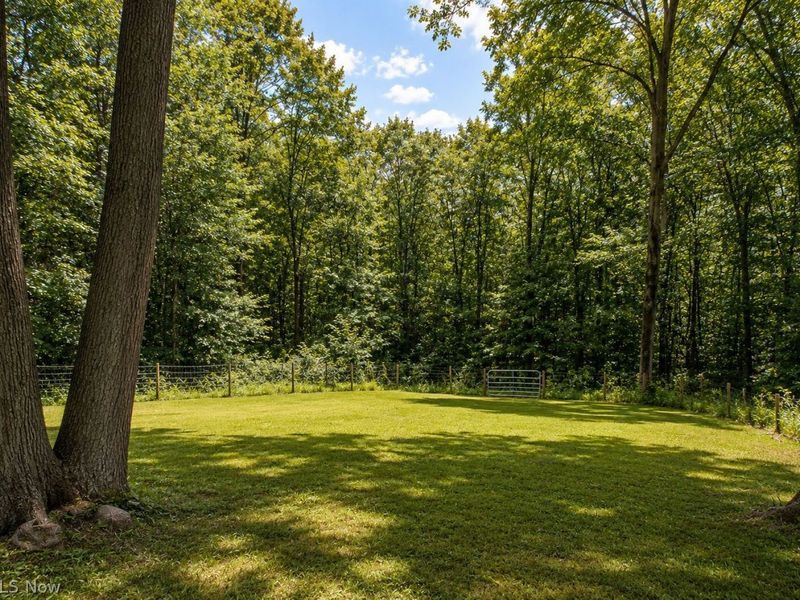 4378 Wilderness Trail, Rock Creek, OH 44084 Photo 10