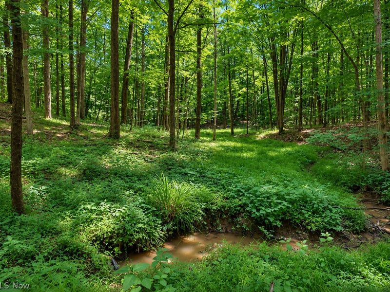 4378 Wilderness Trail, Rock Creek, OH 44084 Photo 12
