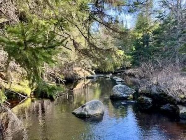 Lot 19-2 Valley Road , Columbia, ME 04623