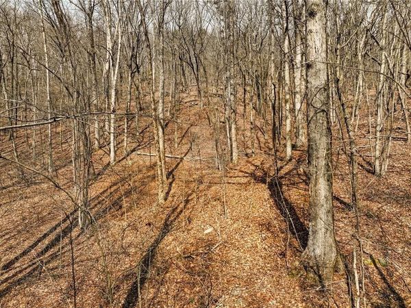 Lot 6 Mount Mincie Road , Murrayville, GA 30564