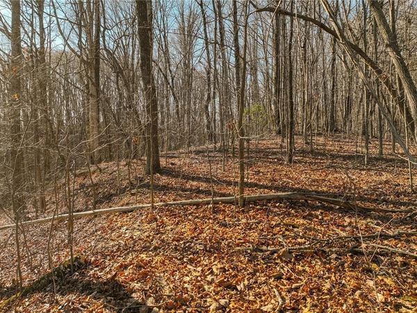 Lot 5 Mount Mincie Road , Murrayville, GA 30564