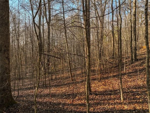 Lot 12 Mount Mincie Road , Murrayville, GA 30564