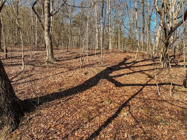 Lot 8 Mount Mincie Road , Murrayville, GA 30564