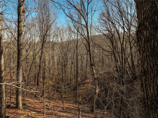 Lot 10 Mount Mincie Road , Murrayville, GA 30564