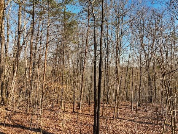 Lot 9 Mount Mincie Road , Murrayville, GA 30564