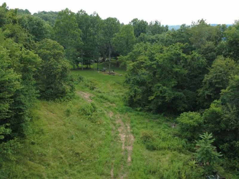 3885 Township Road 197 NE, Crooksville, OH 43731 Photo 4