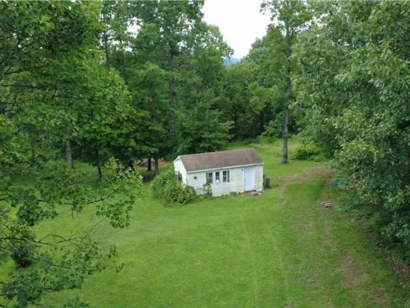 3885 Township Road 197 NE, Crooksville, OH 43731 Photo 5