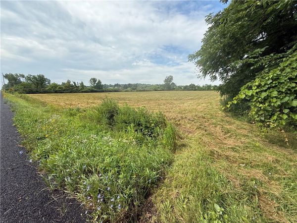 Halseyville Road, Jacksonville, NY 14886