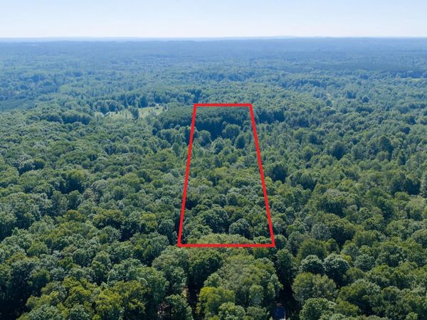 VL Lt 36 Pine River Hills, Luther, MI 49656