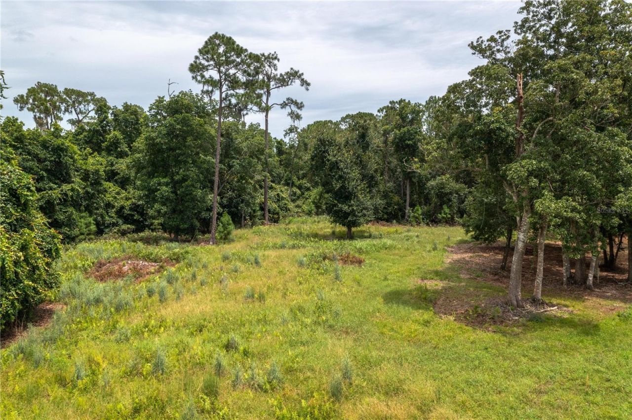 3629 Great Masterpiece Road, Lake Wales, FL 33898 Photo