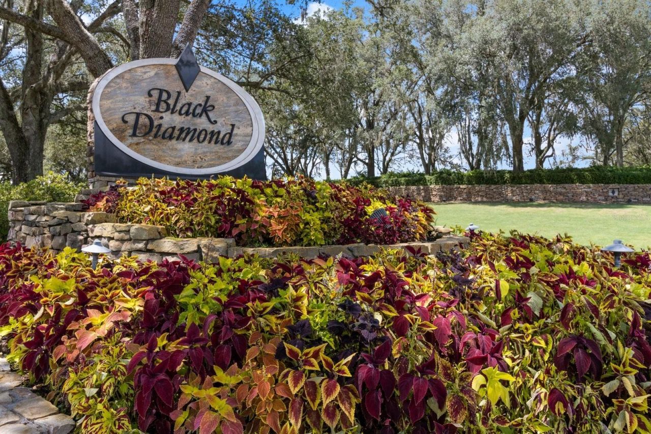 3405 N Spyglass Village Path, Lecanto, FL 34461 Photo