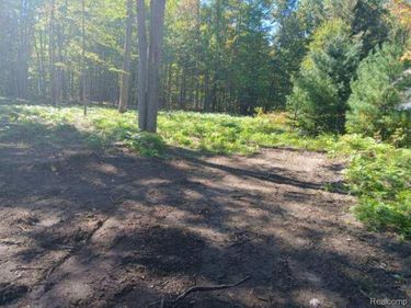 0 Goldenrod Dr, Roscommon Township, Mi 48629