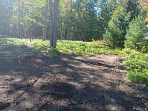 0 Goldenrod Dr, Roscommon Township, Mi 48629