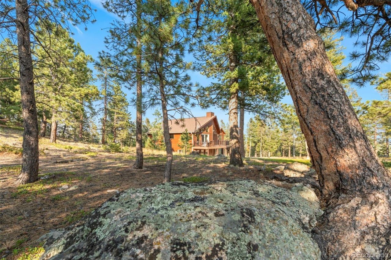9831 S Warhawk Road, Conifer, CO 80433 Main Photo