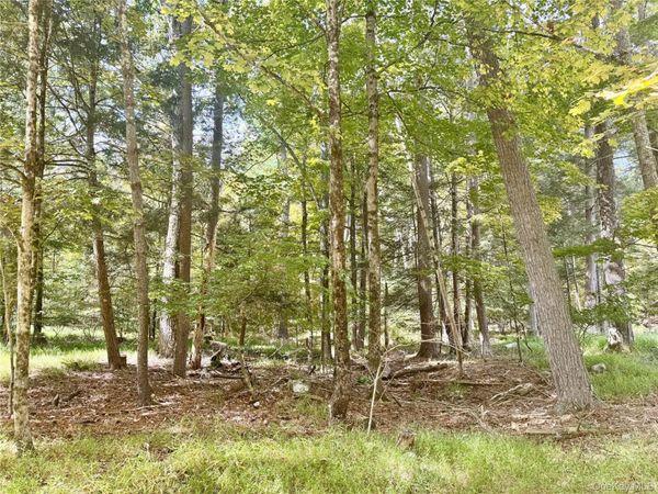 5 Trails , Cuddebackville, NY 12729