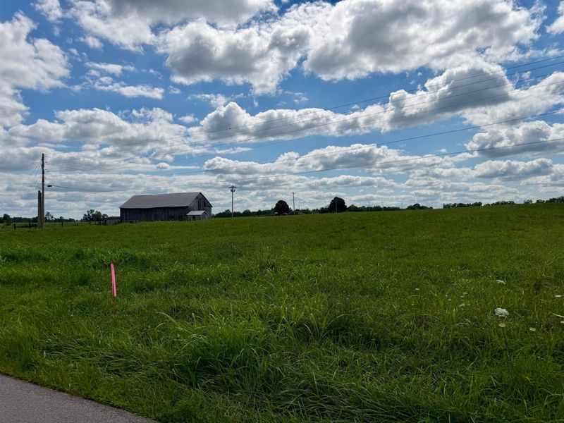 0969 Walnut Grove Road, Carlisle, KY 40311 Photo 17