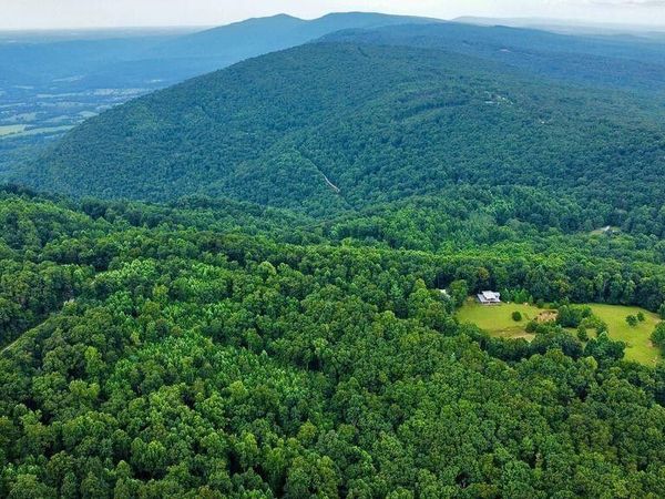 185 Raccoon Ridge , Spring City, TN 37381