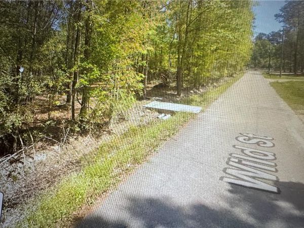 TBD WILD Street , Springfield, LA 70462