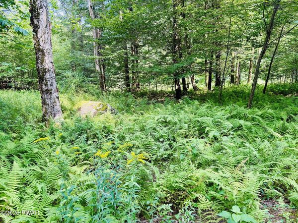 0 Callicoon Road , Damascus, PA 18415