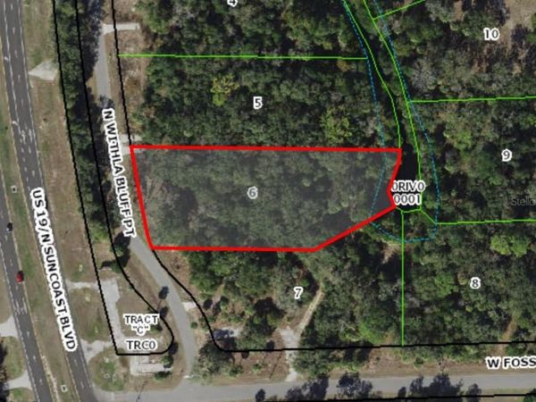11043 N WITHLA BLUFF POINT , INGLIS, FL 34449