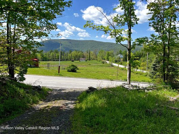 443 County Road 13 , Prattsville, NY 12468