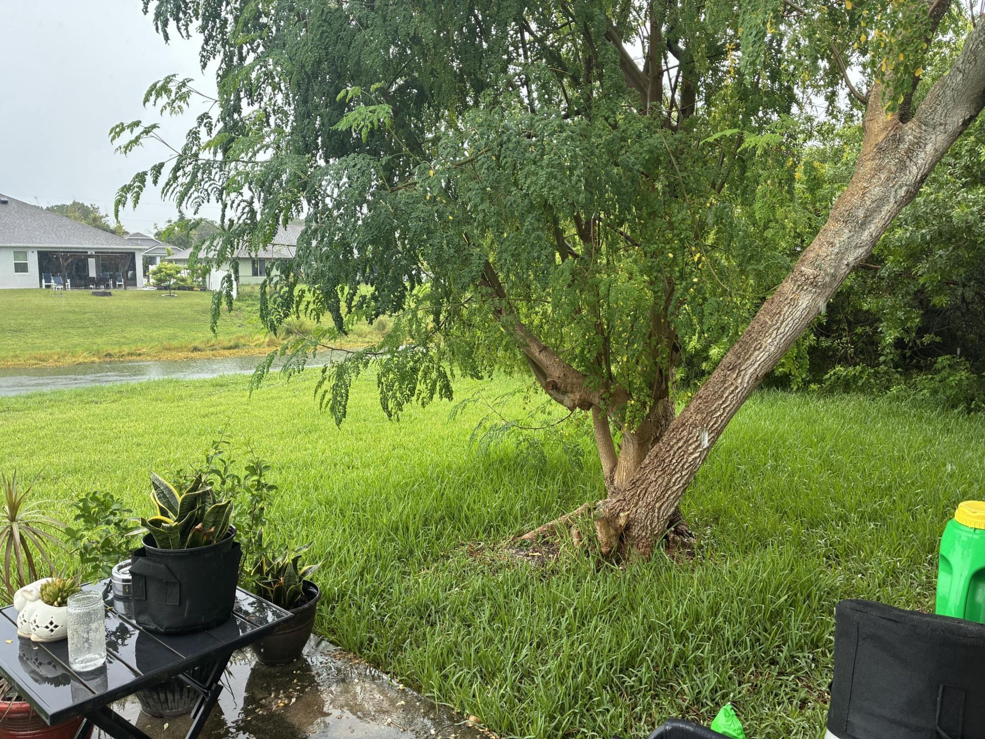 1282 SW Dalton Avenue, Port Saint Lucie, FL 34953 Photo