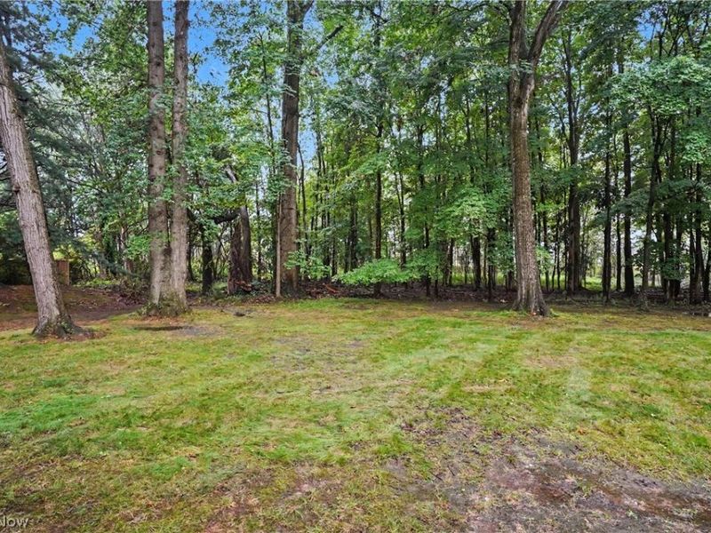 1260 Boardman Canfield Road, Unit 6, Boardman, OH 44512 Photo 37